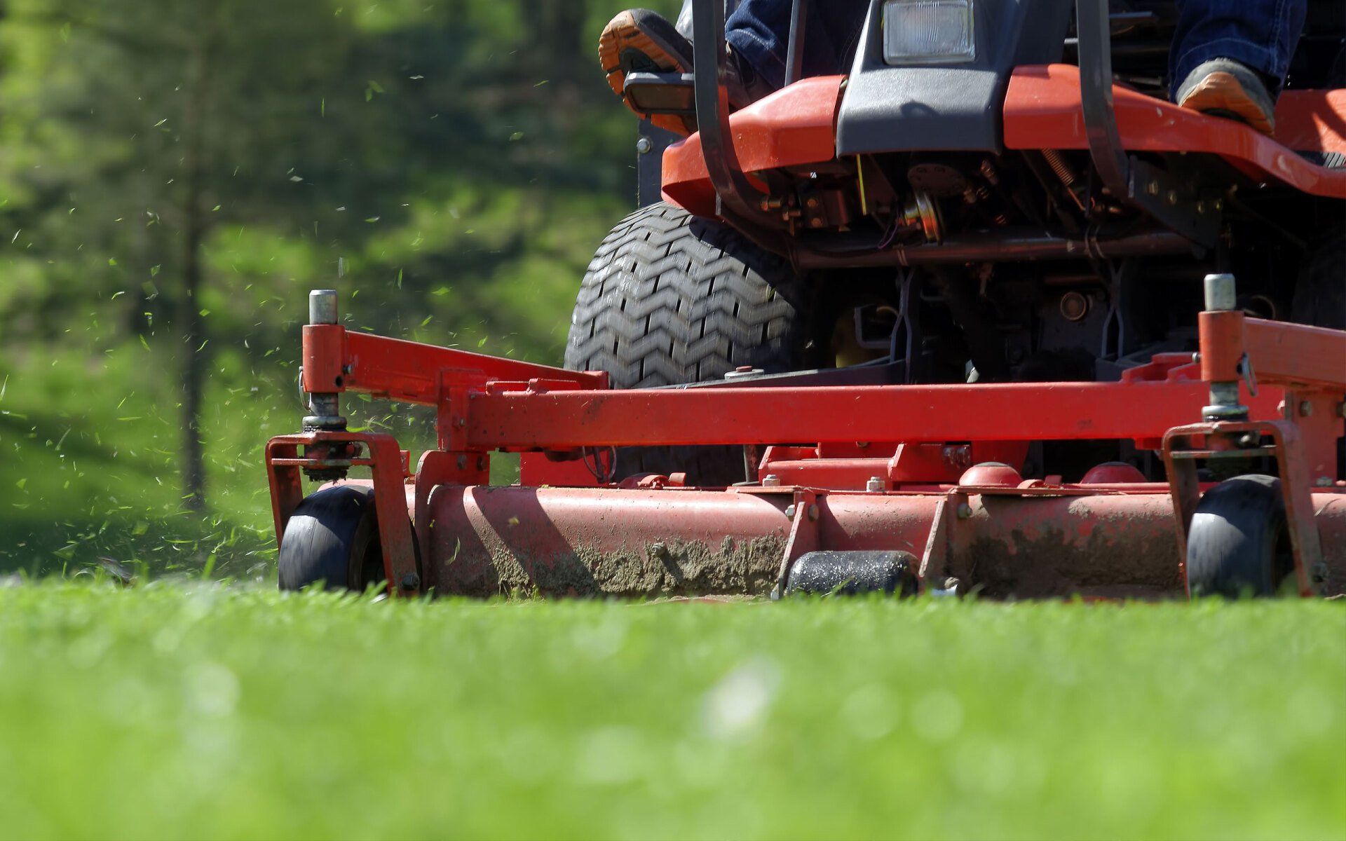 Learn More About lawn and Garden Equipment lawn mower