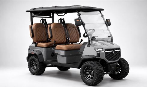 Gray golf cart with four brown seats, black roof, and clear windshield on a white background