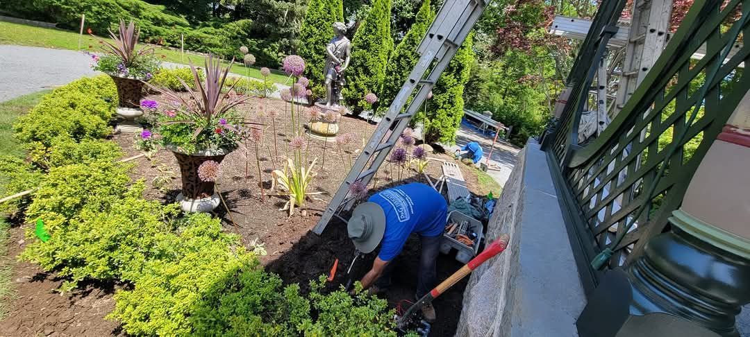 A man is working in a garden with a ladder.