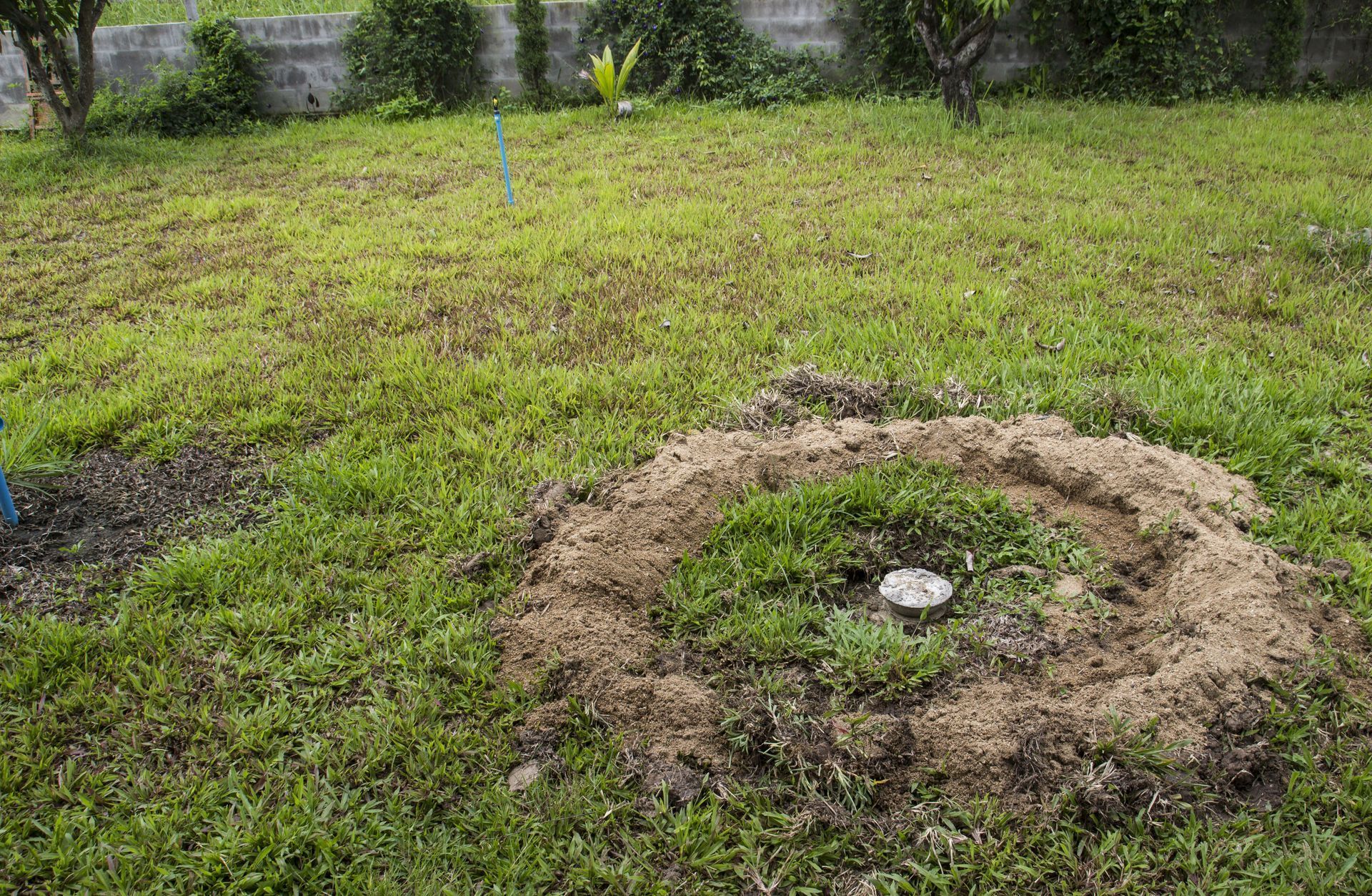 Grassy yard with a circular bed of mulch surrounding a white object.