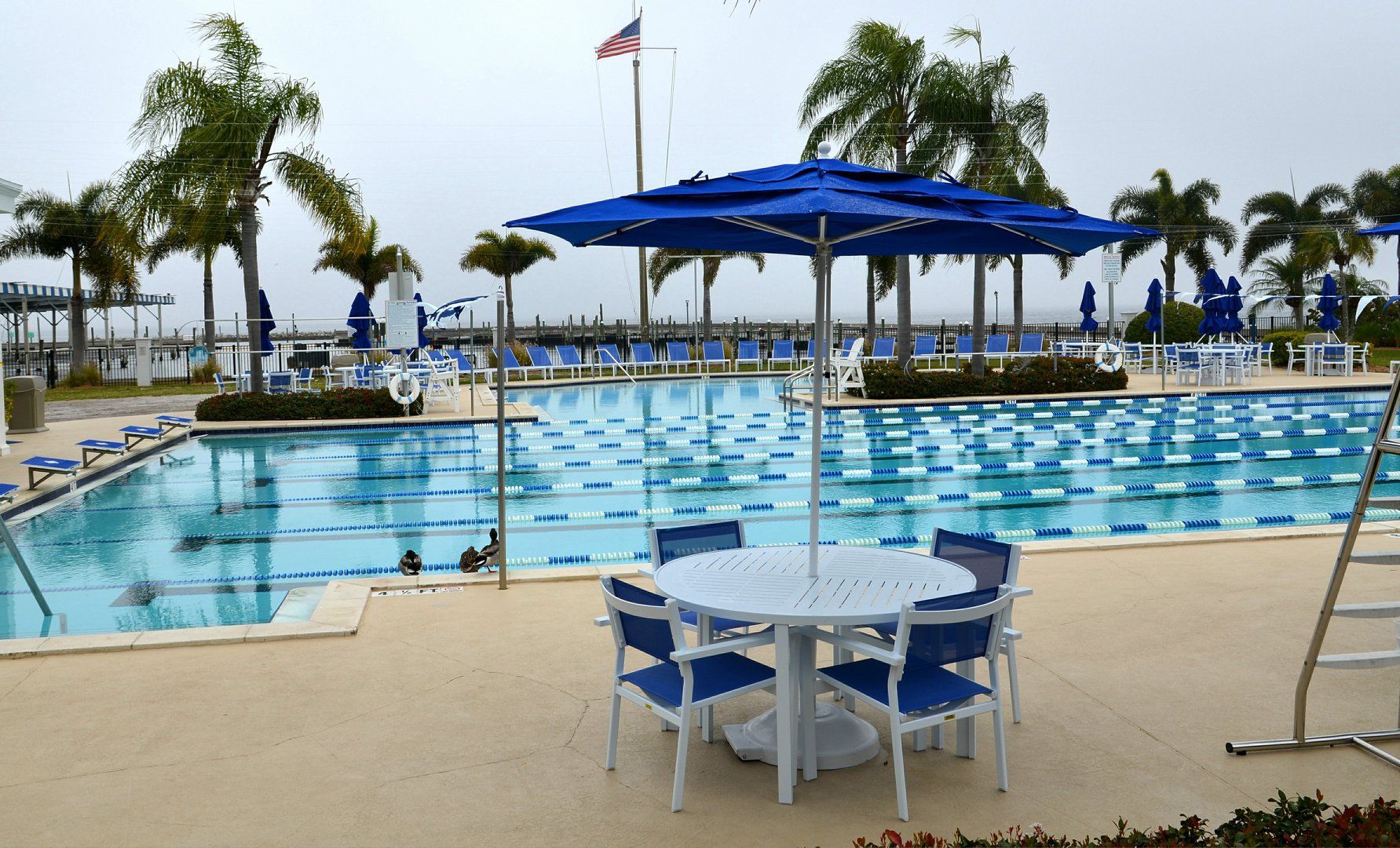 Outdoor Patio Furniture Stores Bradenton, FL Pool and Patio