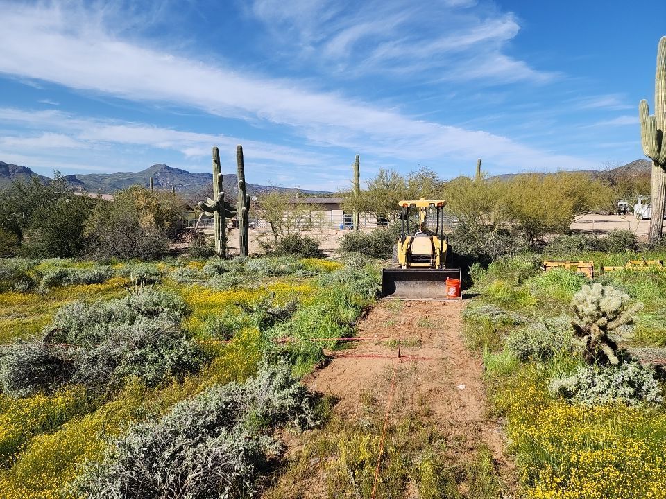 Bulldozer on a dirt path in a field of wildflowers, with cacti and mountains in the background under a blue sky.