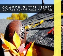 Common gutter problems