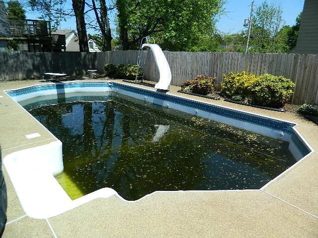 Pool Tech Of Memphis Recent Project