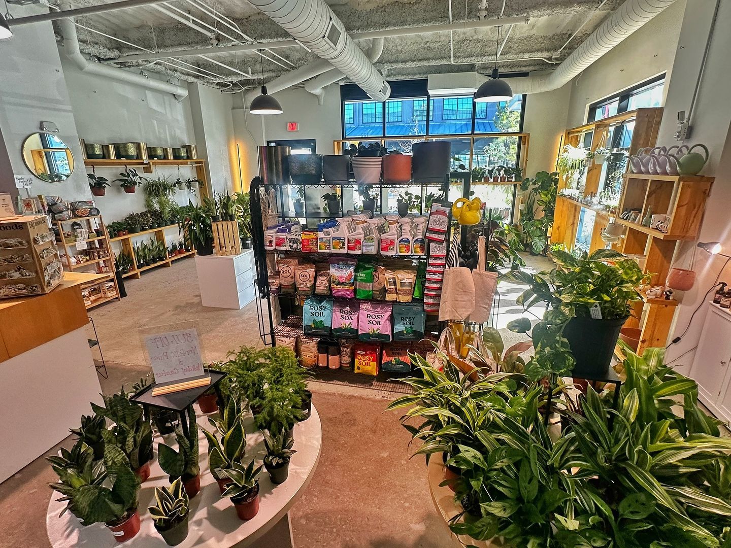 A store filled with lots of potted plants and books.