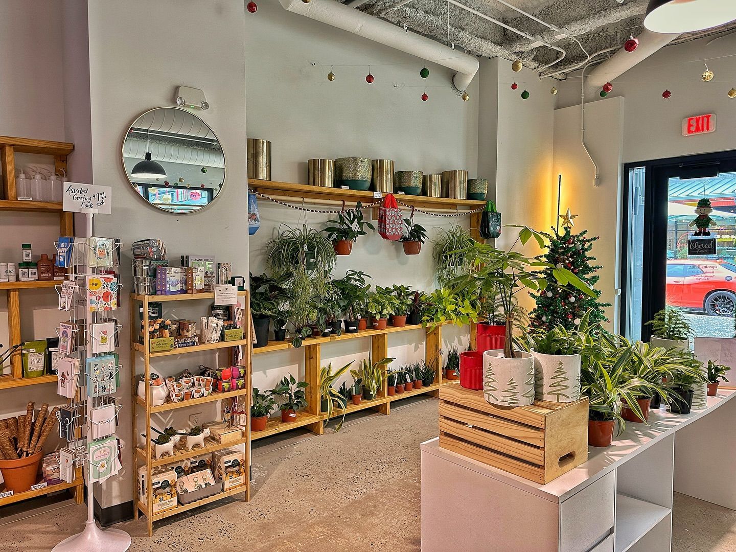A room filled with lots of potted plants and shelves.