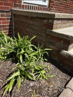 A brick wall with steps and plants in front of it.