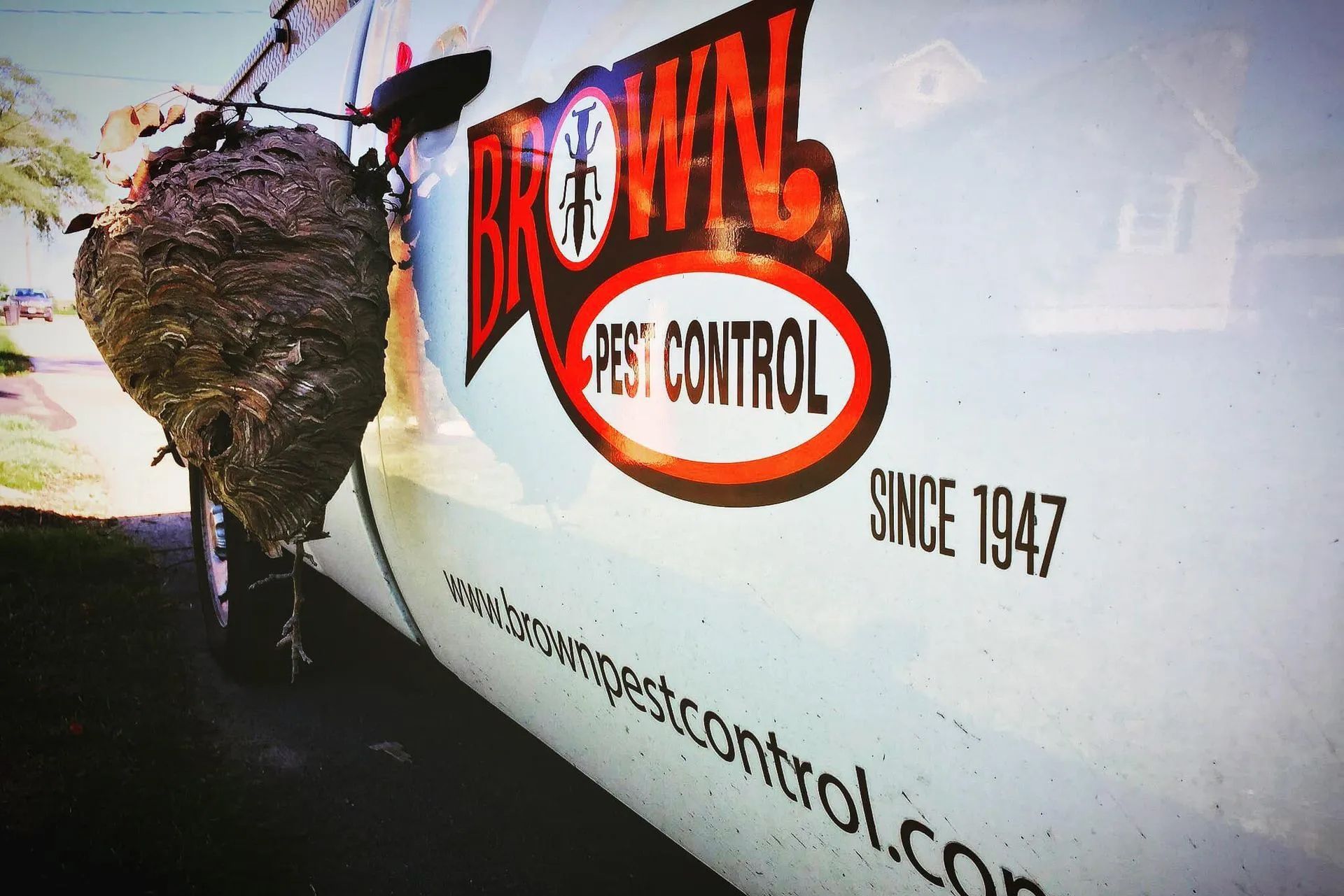 Large wasp nest attached to a Brown Pest Control van. Company logo and website visible.