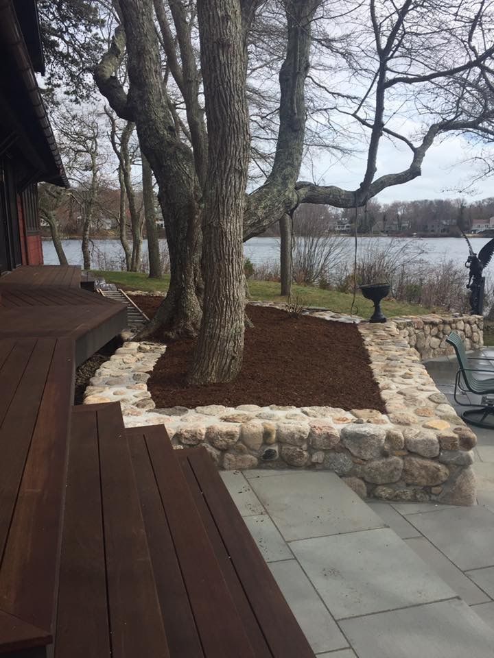 There is a large tree in the middle of the yard.