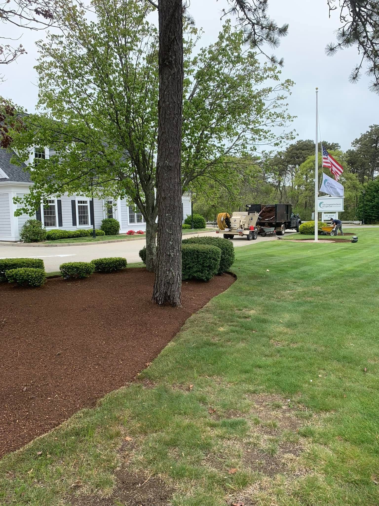 A large lawn in front of a house with a truck parked in the driveway.