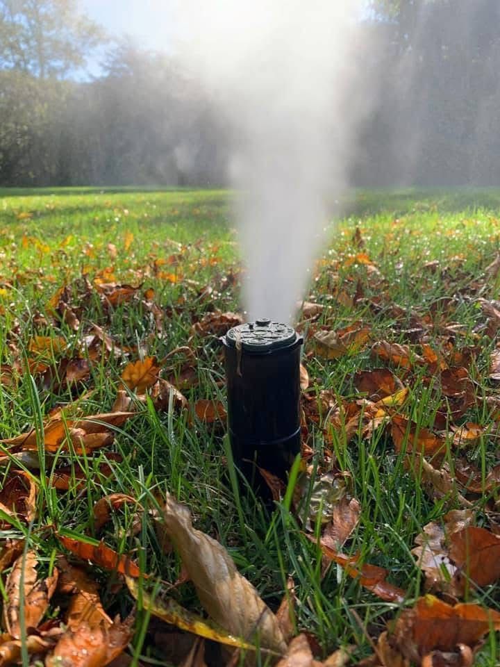 A tree is lit up at night in front of a house