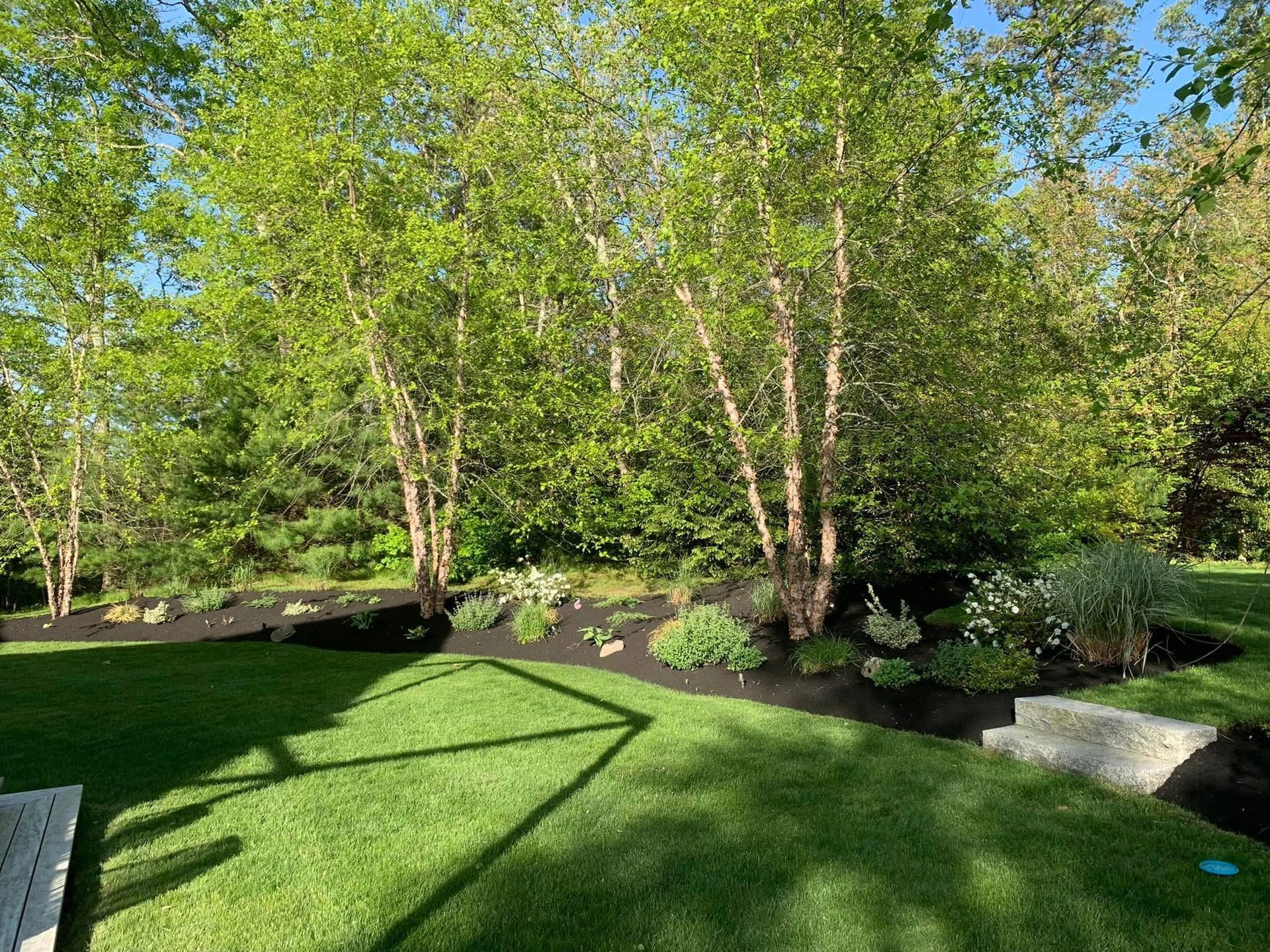 A lush green lawn with trees in the background and a bench in the foreground.