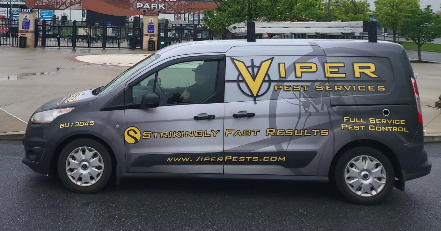 Grey and black Viper Pest Services van parked; logo and service details on side.