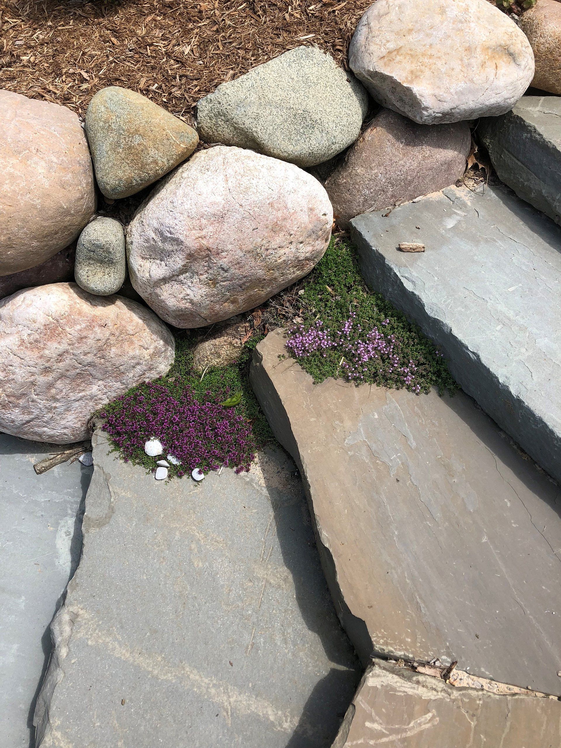 hardscaping