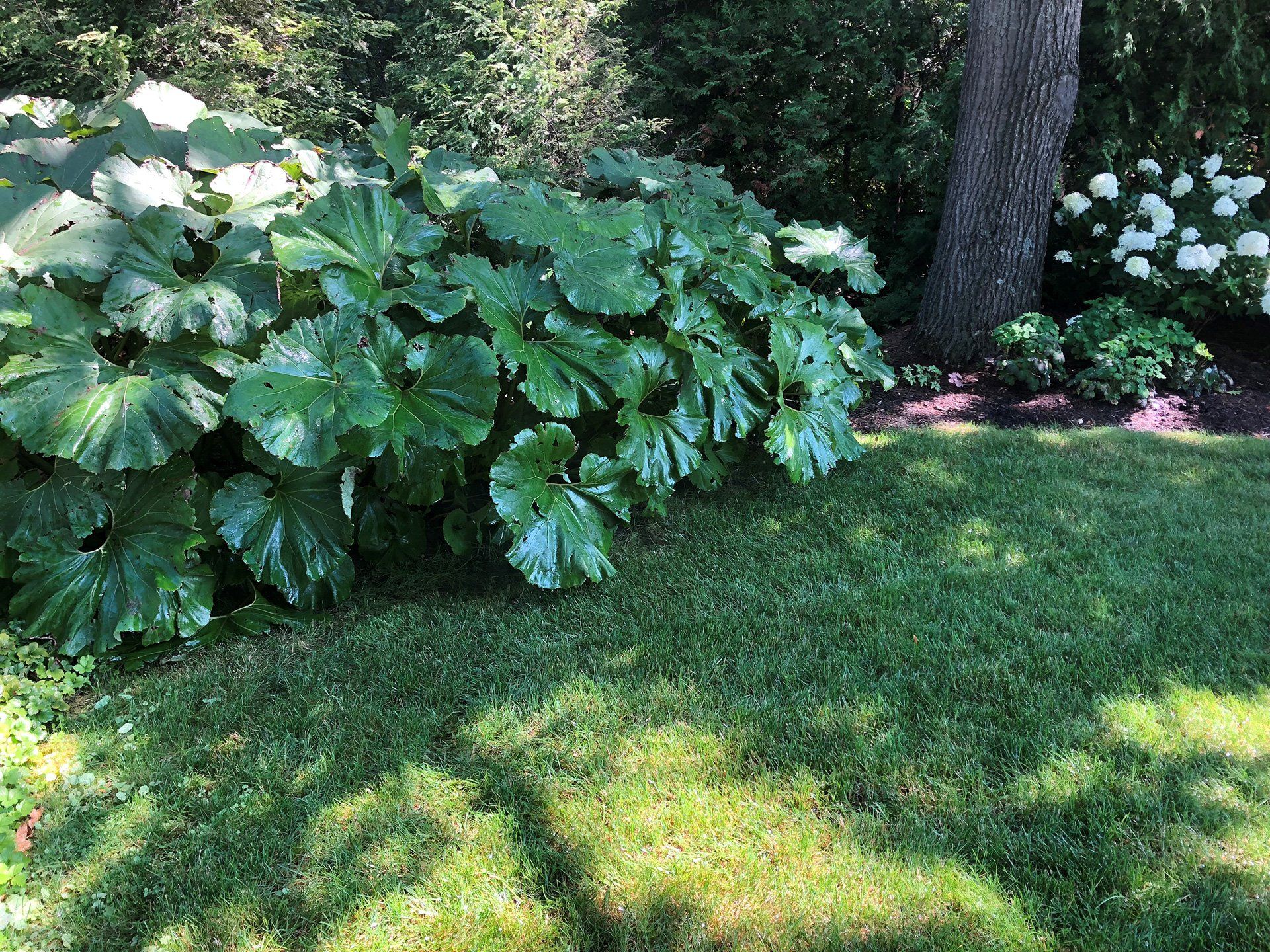 landscape installation