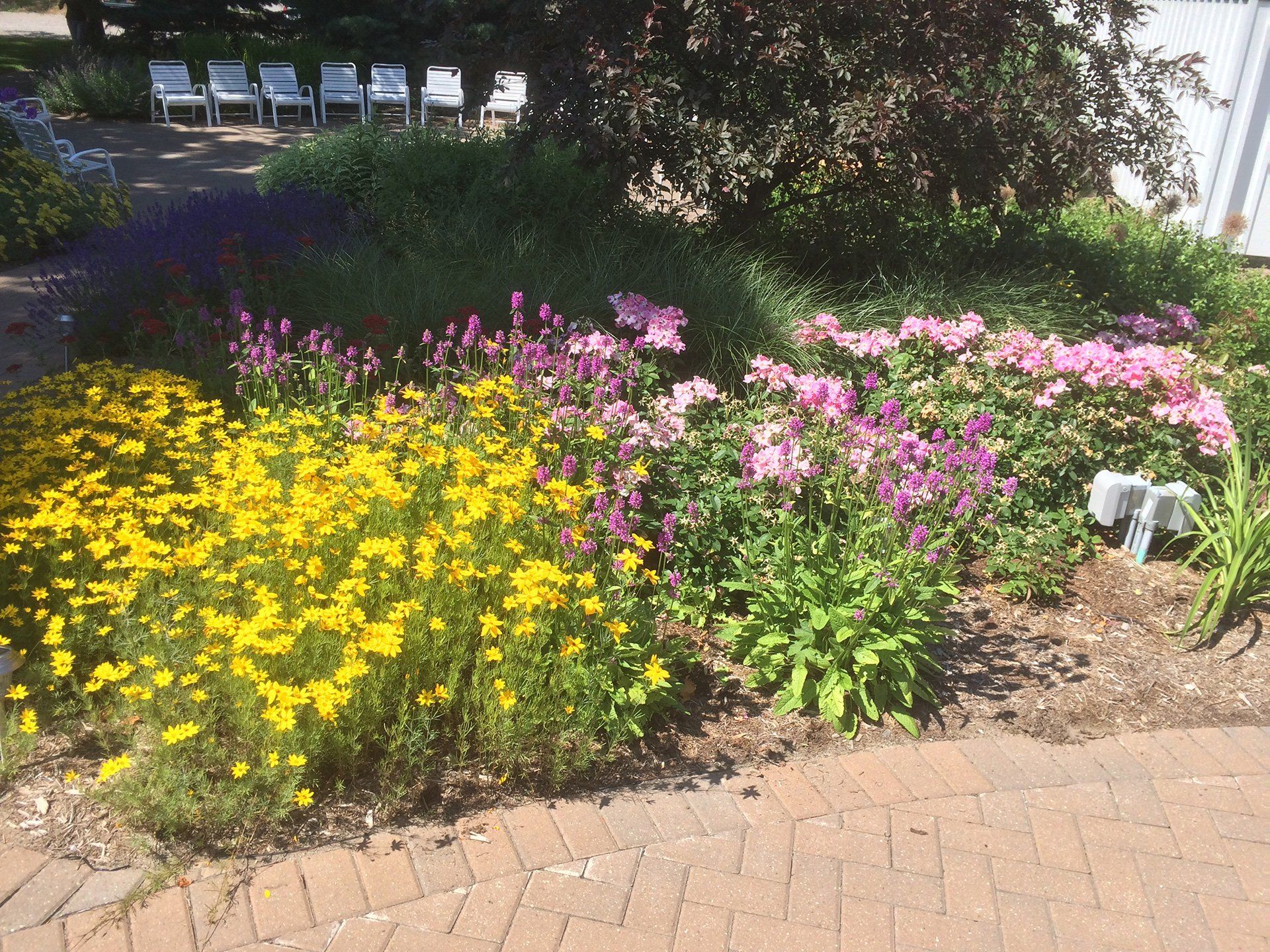 landscape installation