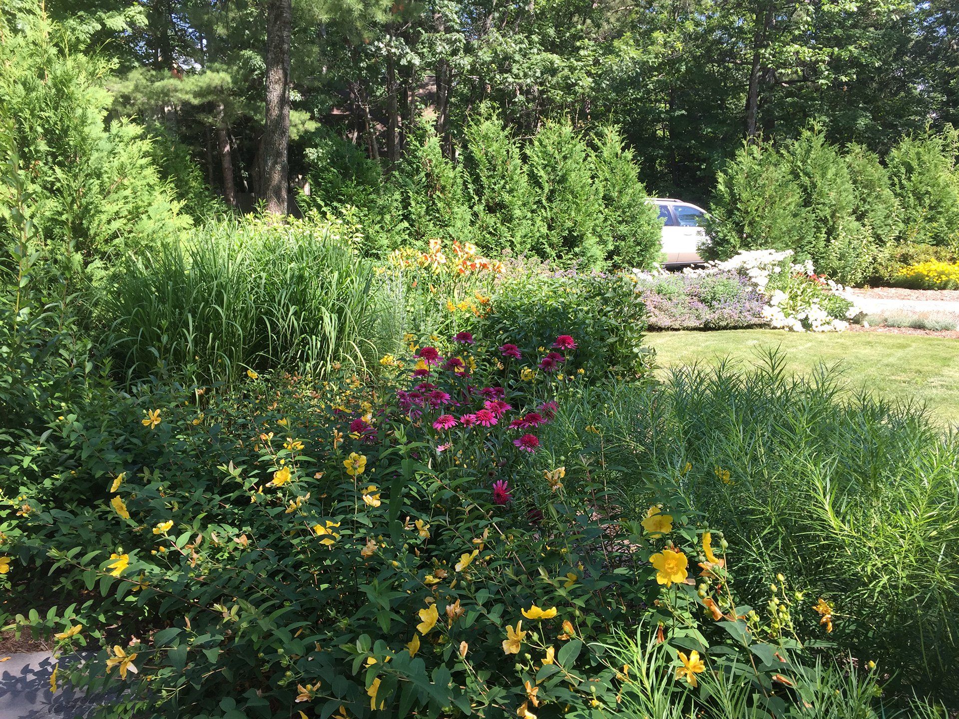 landscape installation