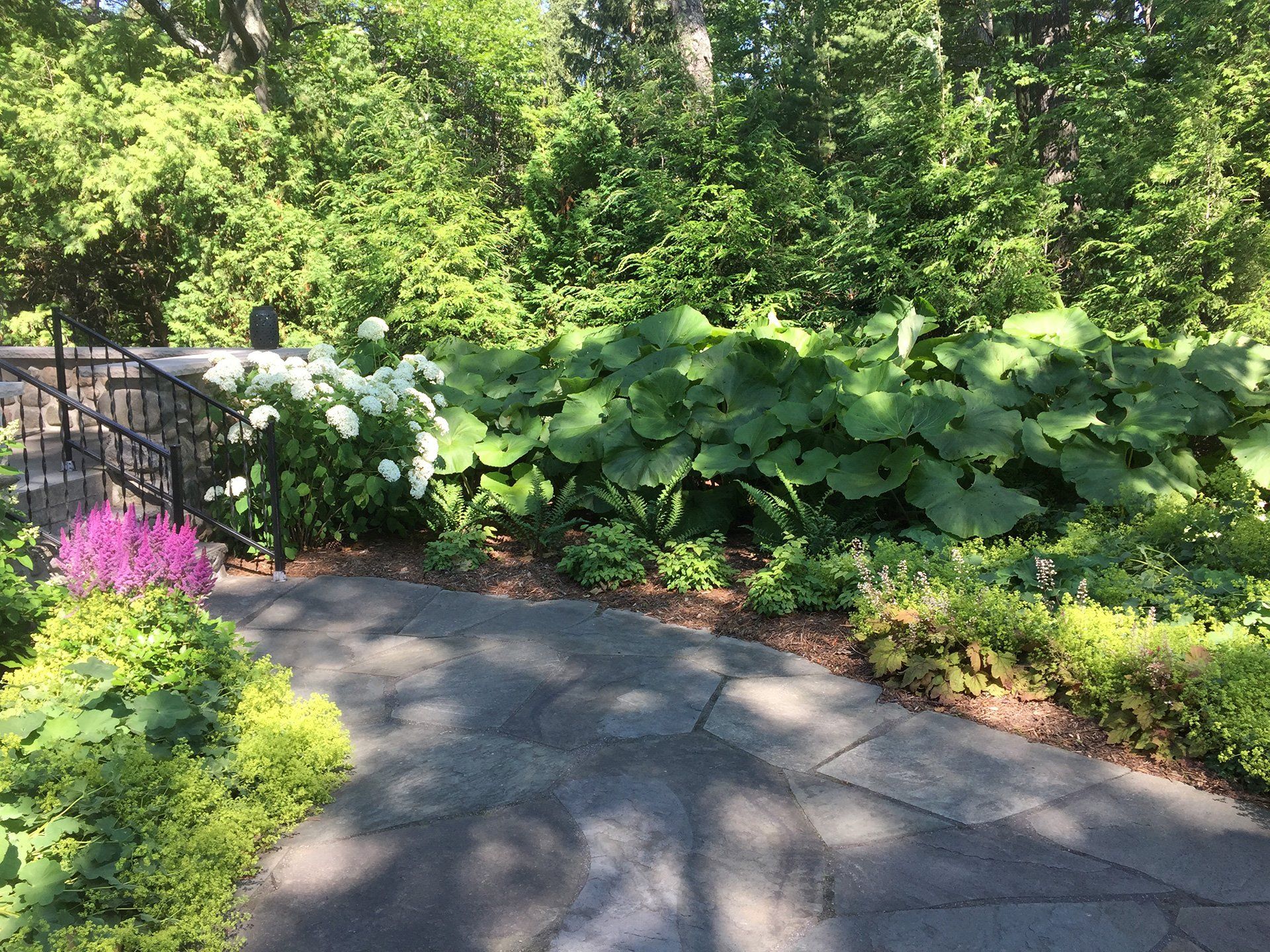 landscape installation