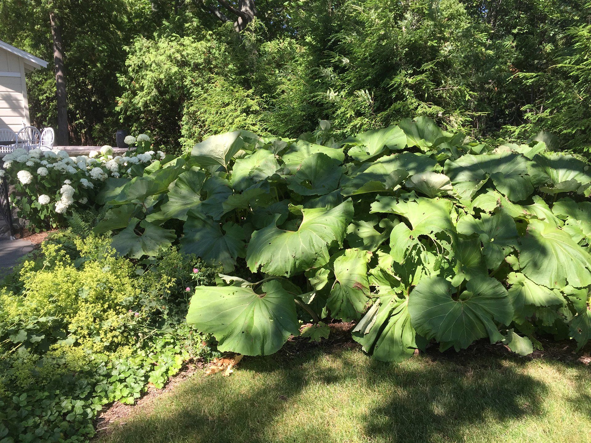 landscape installation