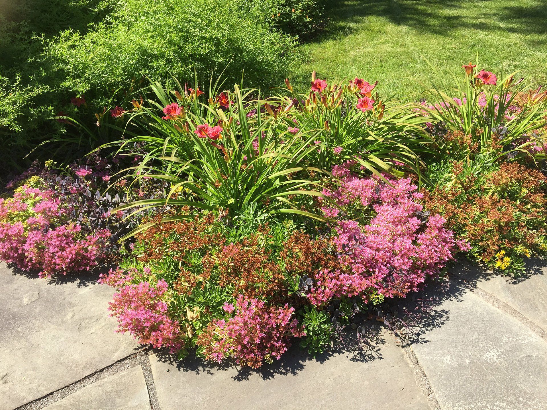 landscape installation