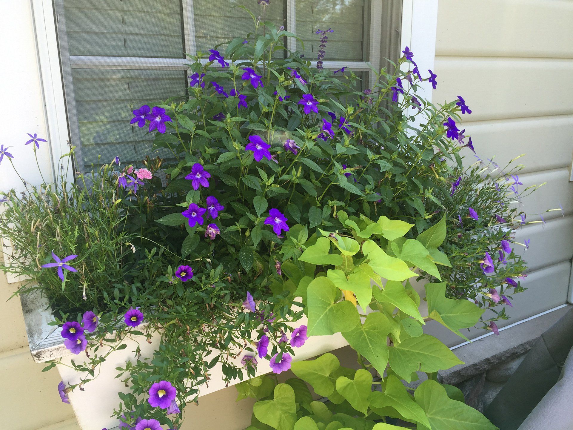 landscape installation