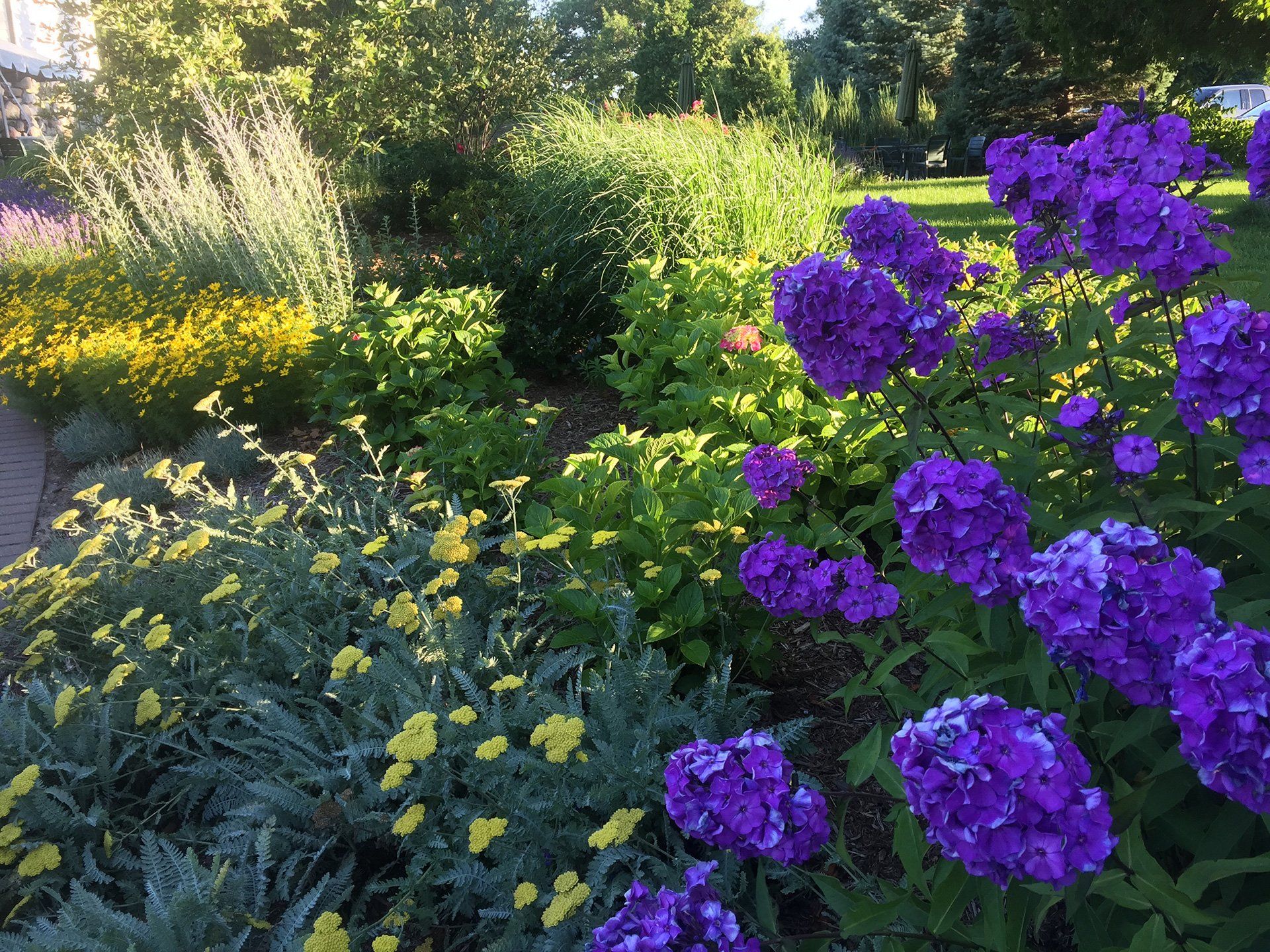 landscape installation