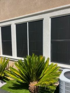 Three rectangular windows with dark solar screens and white frames above a Sago palm in a residential yard.