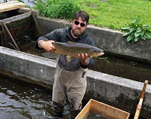 a man harvesting a trout