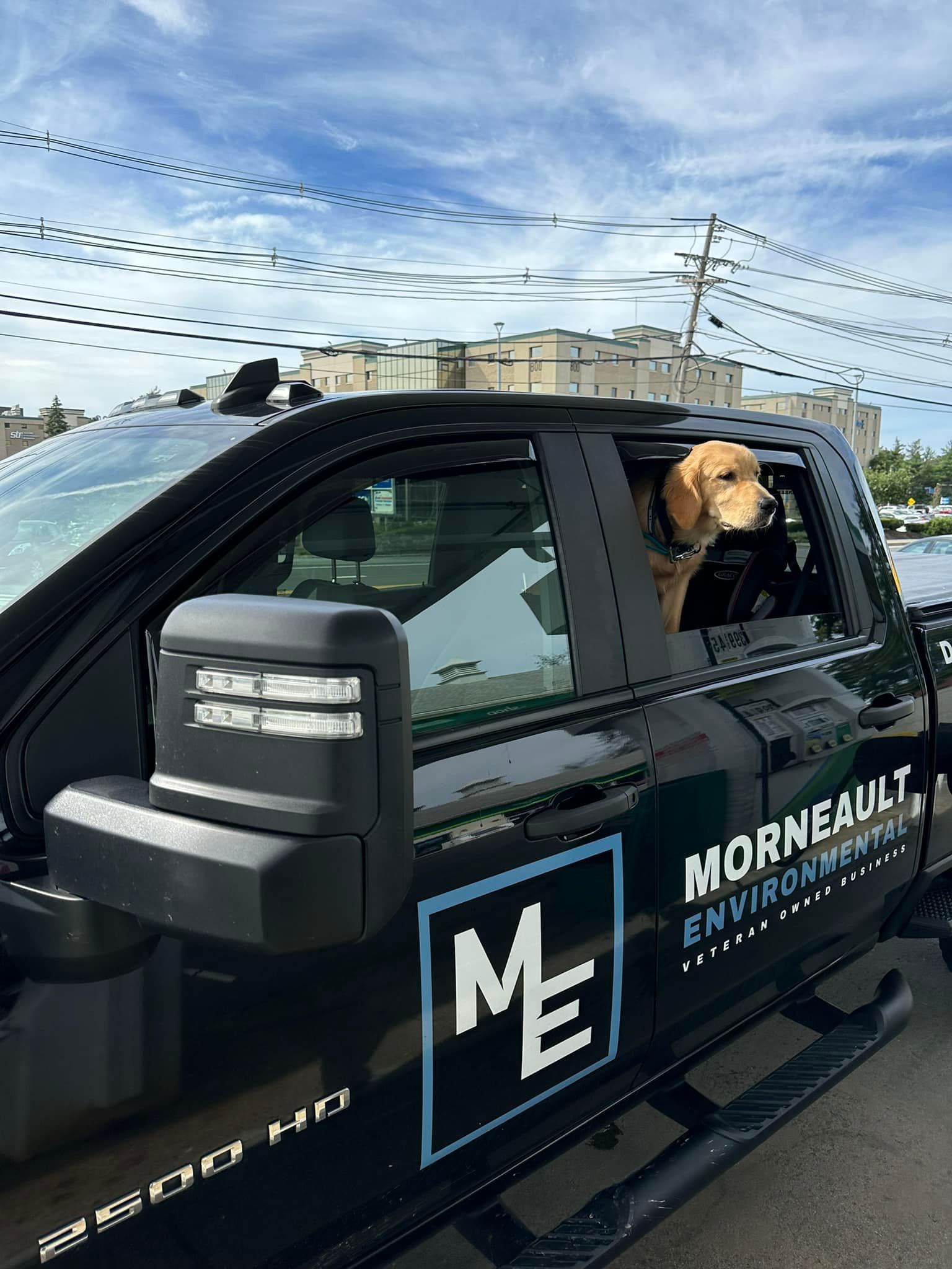 A golden-colored dog looks out the driver-side window of a black Morneault Environmental work truck.