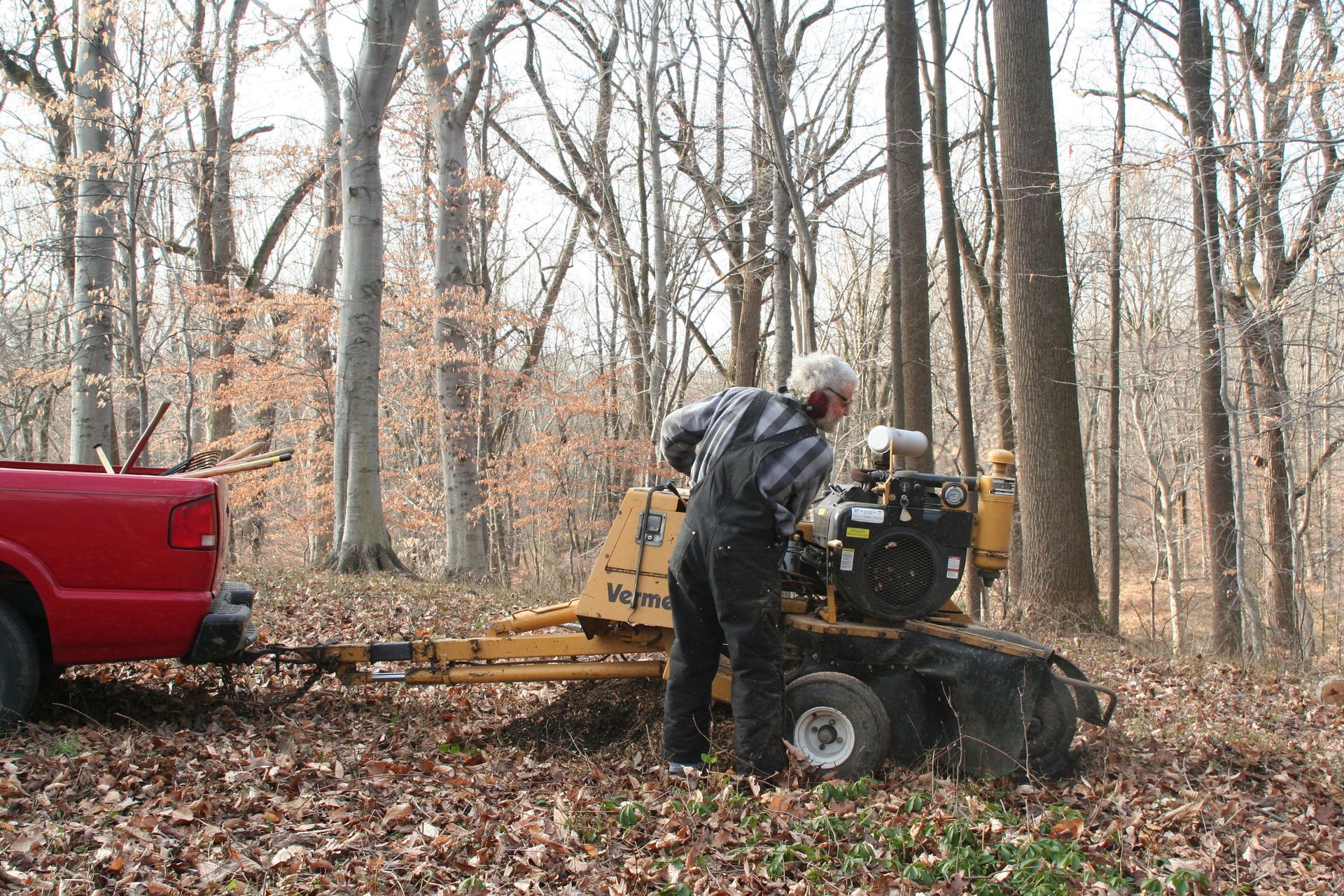 stump grinding