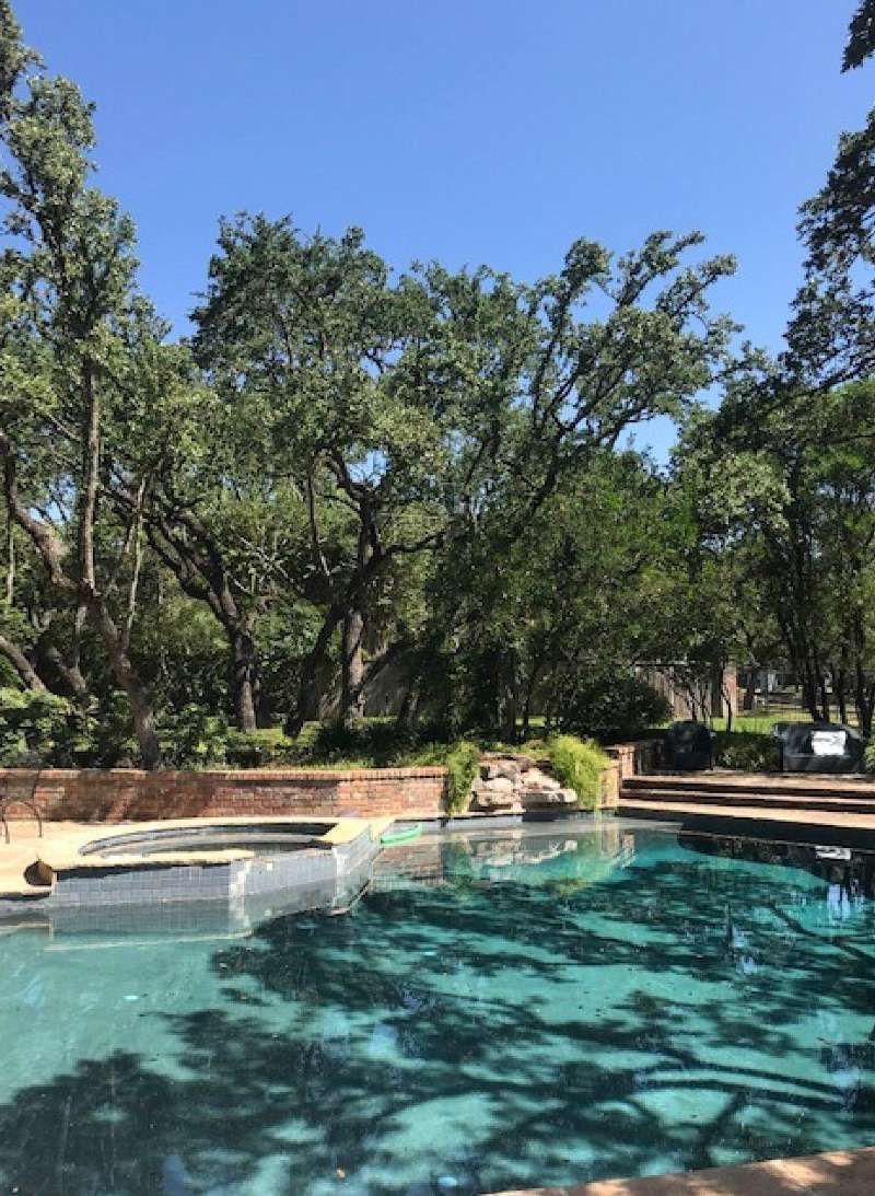 Pool with green water, surrounded by brick walls, greenery, and trees under a clear blue sky.