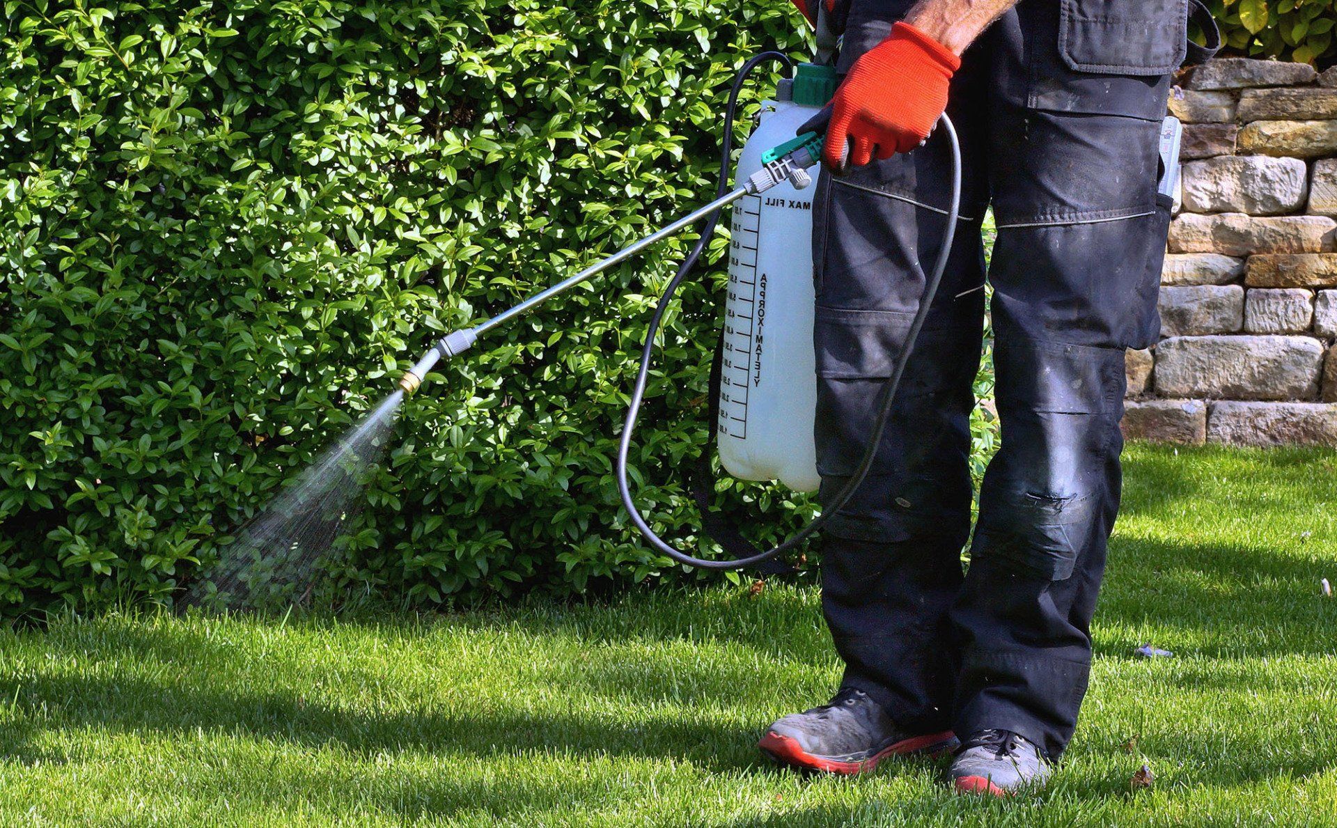 Fertilization service