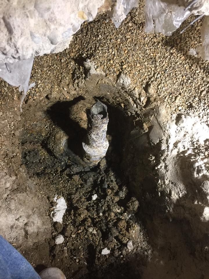 A snake is laying in the dirt in a hole.