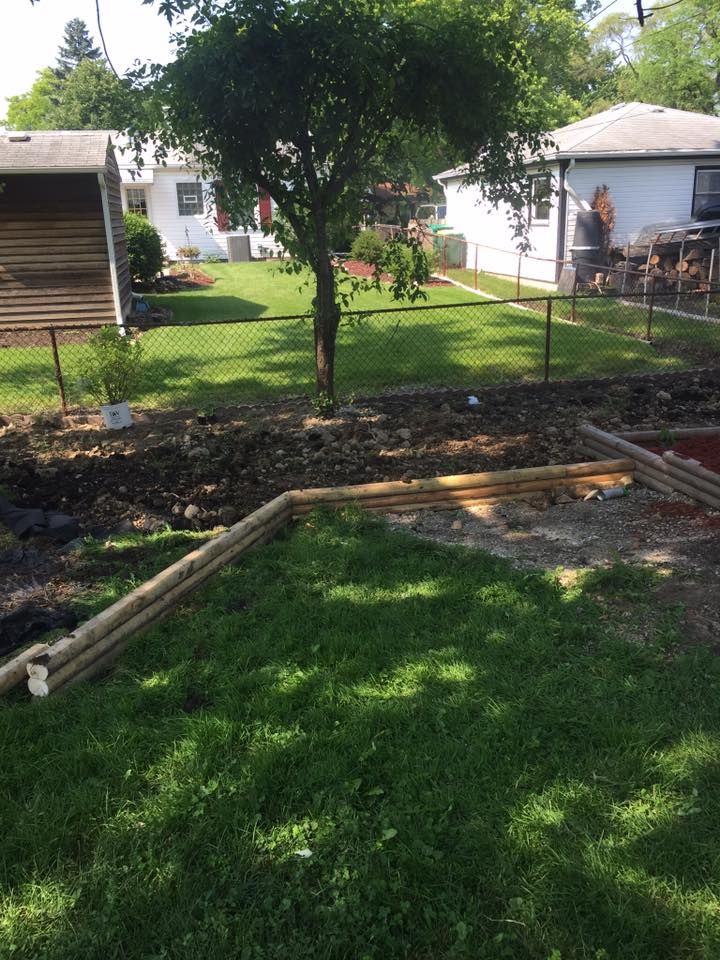 A backyard with a tree and a house in the background