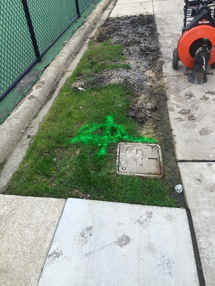A green arrow is painted in the grass next to a sidewalk.