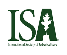 ISA