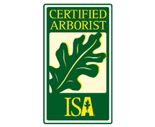 Certified ISA Arborist