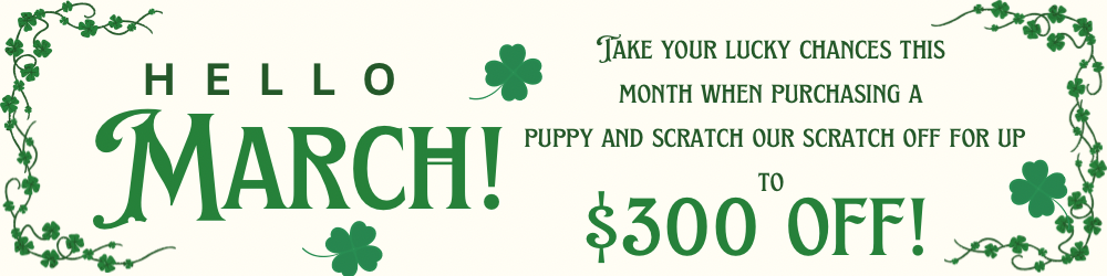 Cozy Winter Sale: $150 off & free bed. Pink pet beds, paw prints, text, and floral elements on a light pink background.