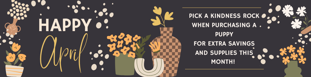 Cozy Winter Sale: $150 off & free bed. Pink pet beds, paw prints, text, and floral elements on a light pink background.