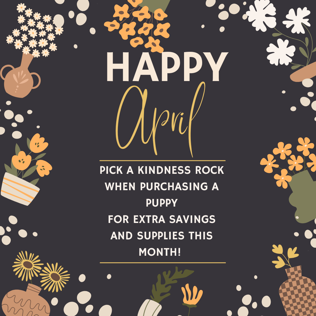 New Year's sale: 26% off puppies and supplies. Gold text on cream background with star accents.