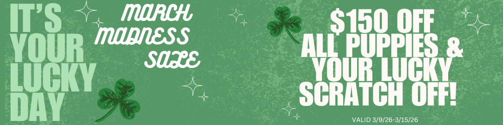 Cozy Winter Sale: $150 off & free bed. Pink pet beds, paw prints, text, and floral elements on a light pink background.