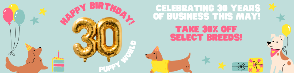 Bright birthday promo banner with gold “30,” balloons, and “Take 30% Off Select Briefs” text.