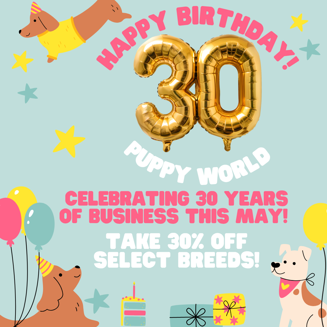 Puppy birthday sale poster with gold “30” balloons, pastel dogs, and “Take 30% off select breeds” text