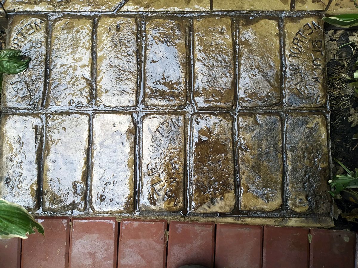 A dirty brick walkway with a few plants in the background