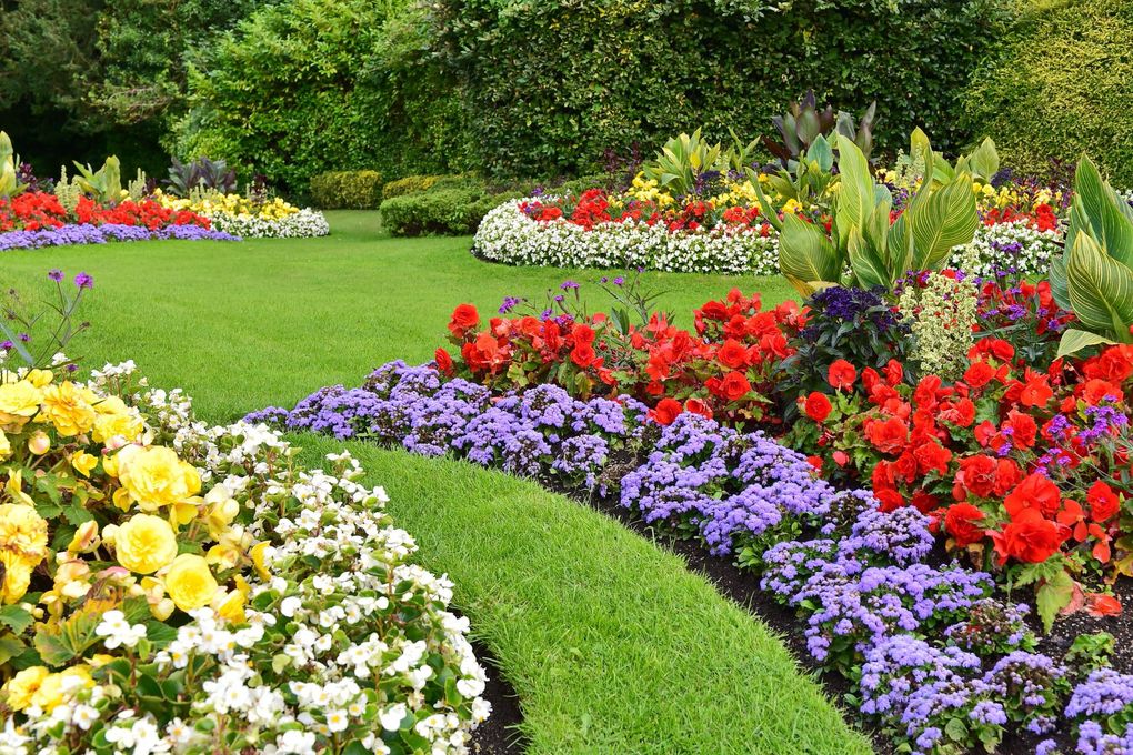 VS Roses & Landscape Design
