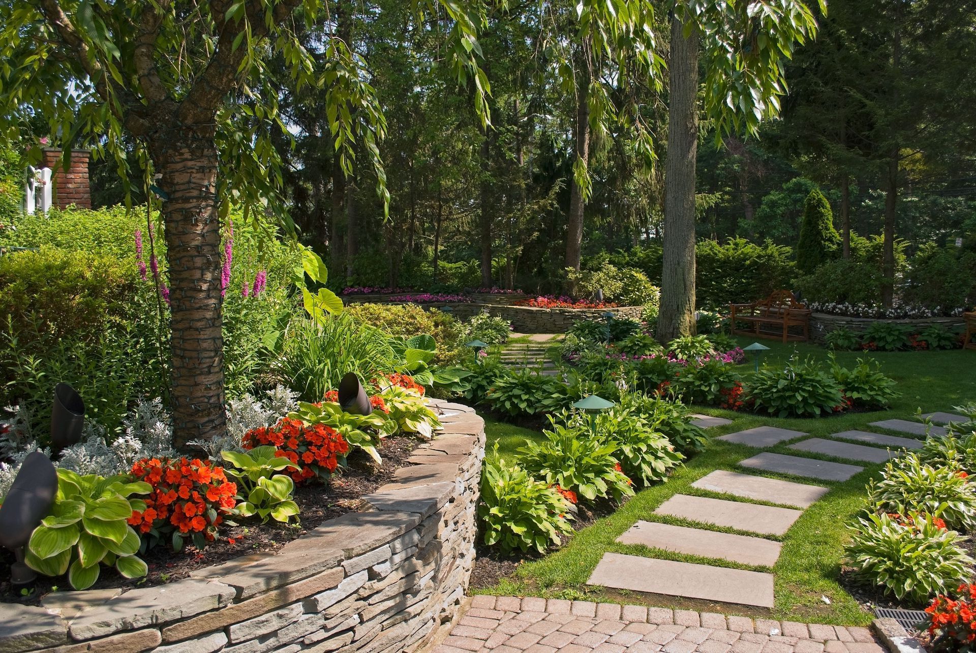 VS Roses & Landscape Design