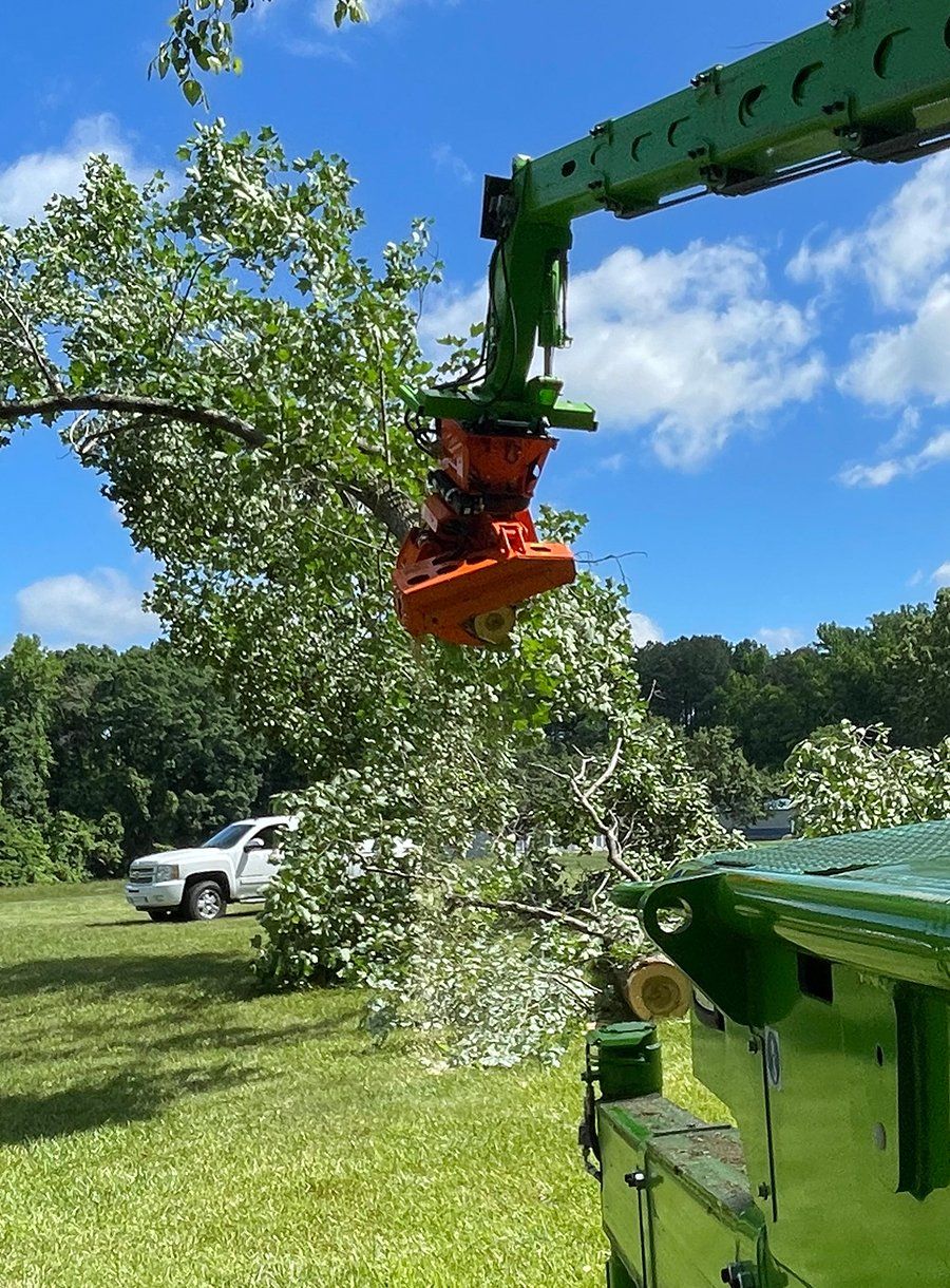 tree removal service high point nc