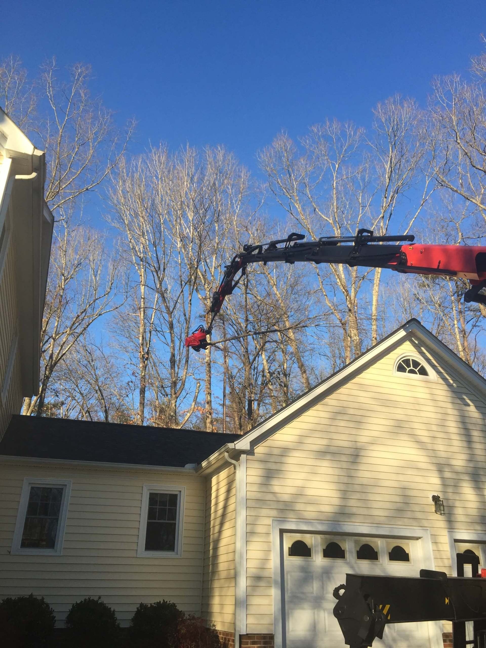 Residential tree removal