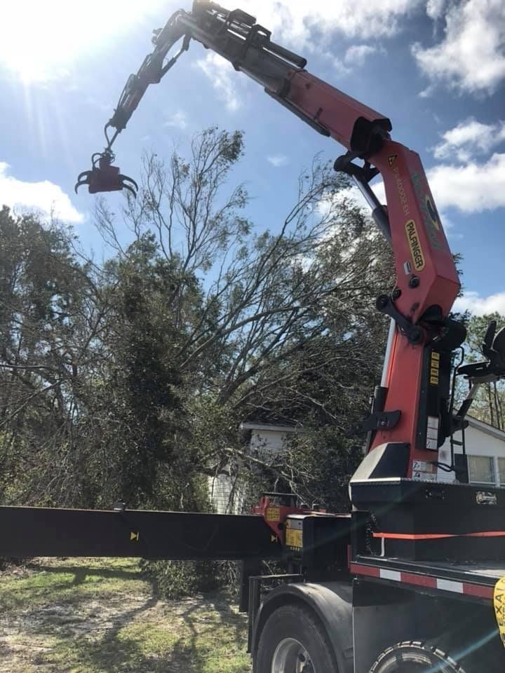 Tree removal equipment