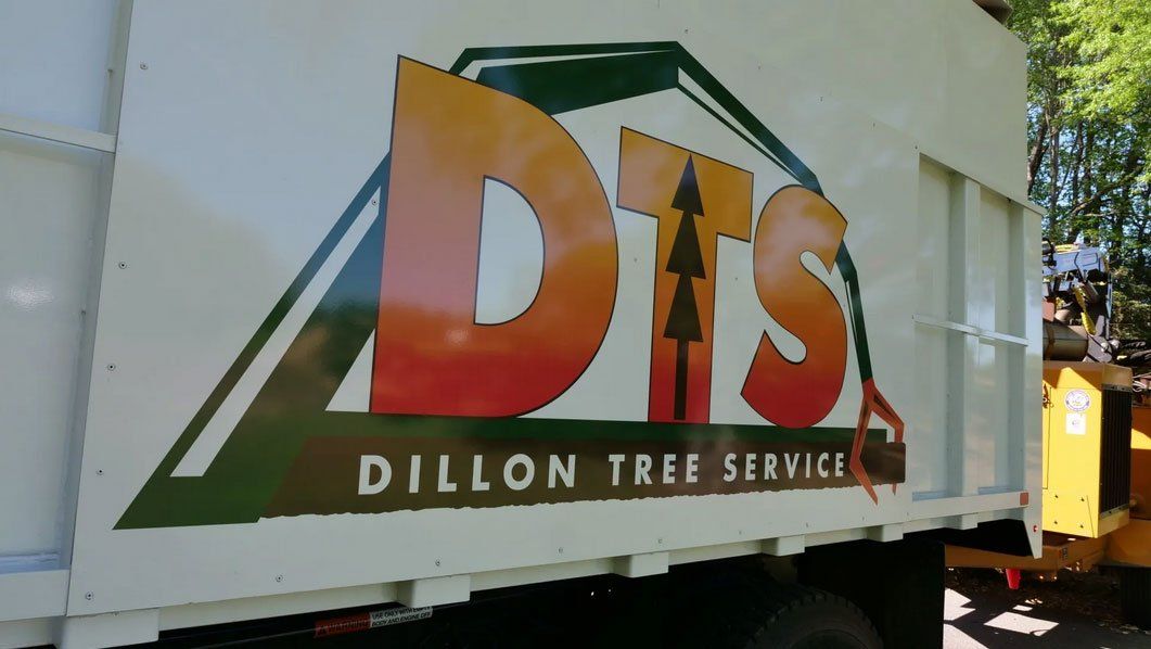 DTS logo